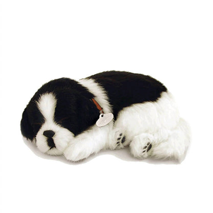 Border Collie Breathing Pet