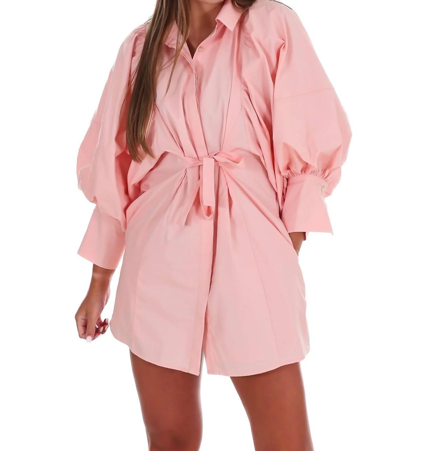 Classy Puff Sleeve Mini Dress