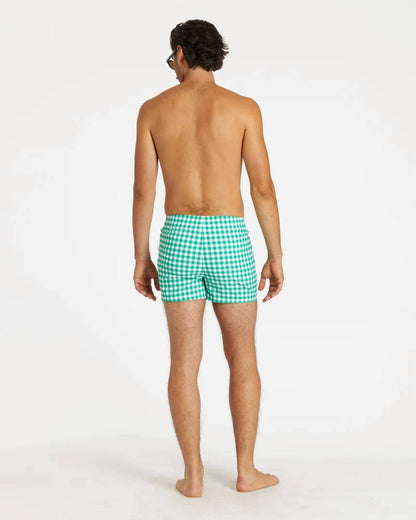 Gingham Cabana Trunk