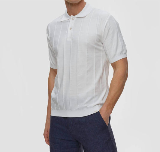 Cotton Polo Shirt