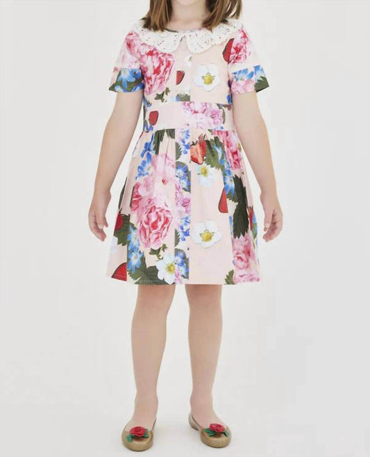 Sasha+Z - Strawberry & Peonies Printed Dress - Rack Hunt -