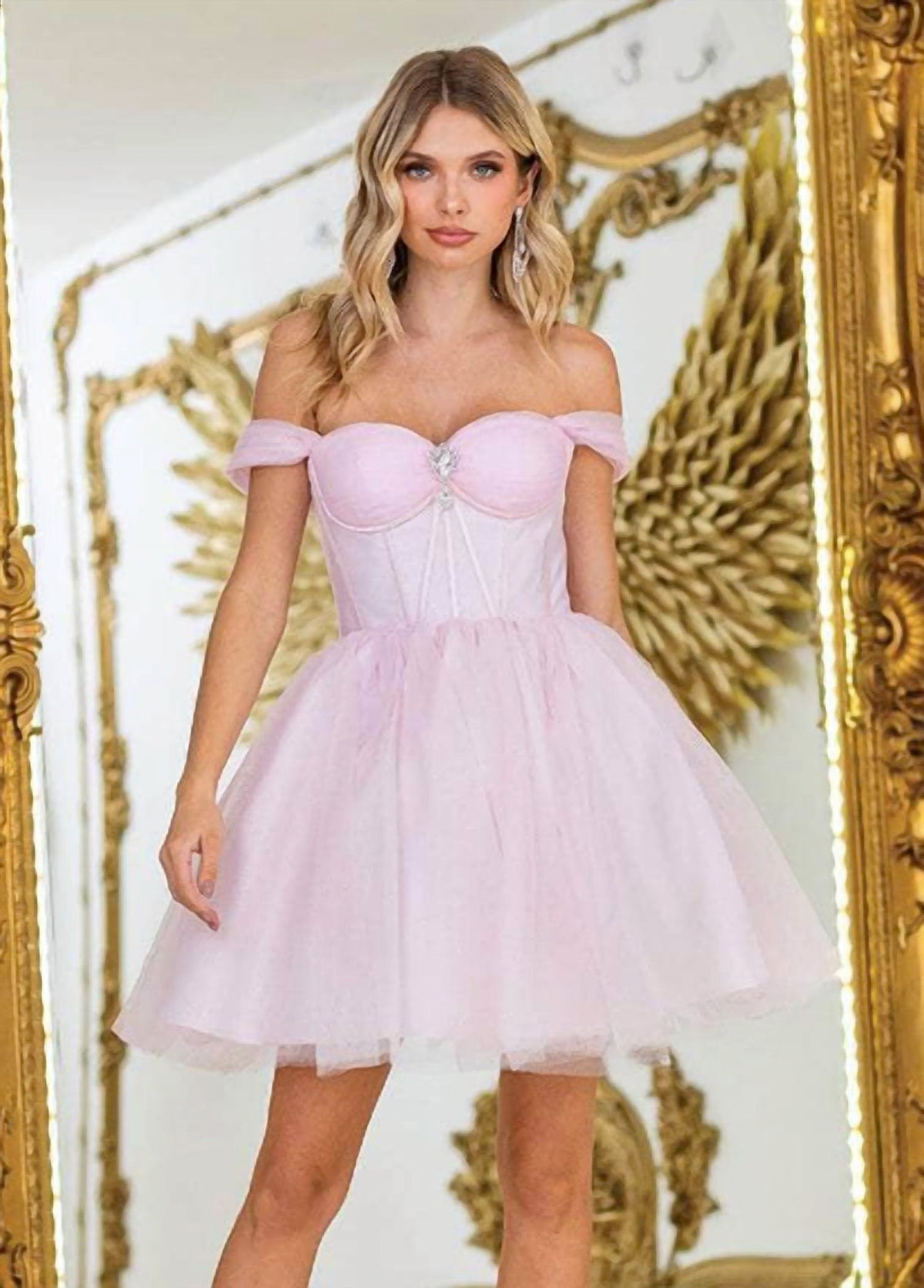 Off Shoulder Tulle Mini Dress