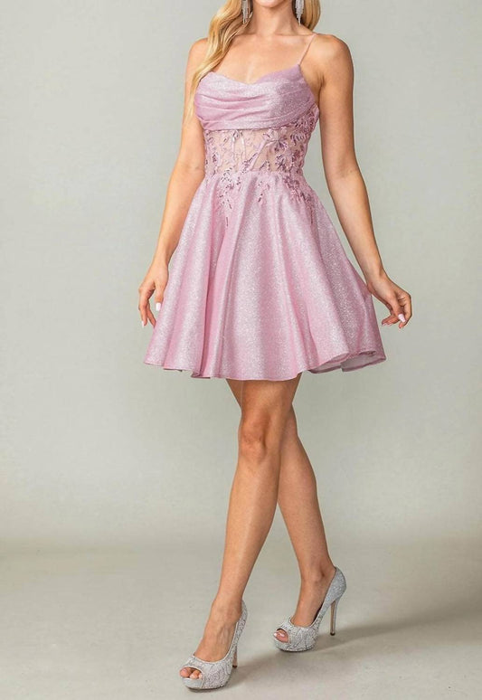 Sophisticated Embroidered Bodice Cocktail Mini Dress