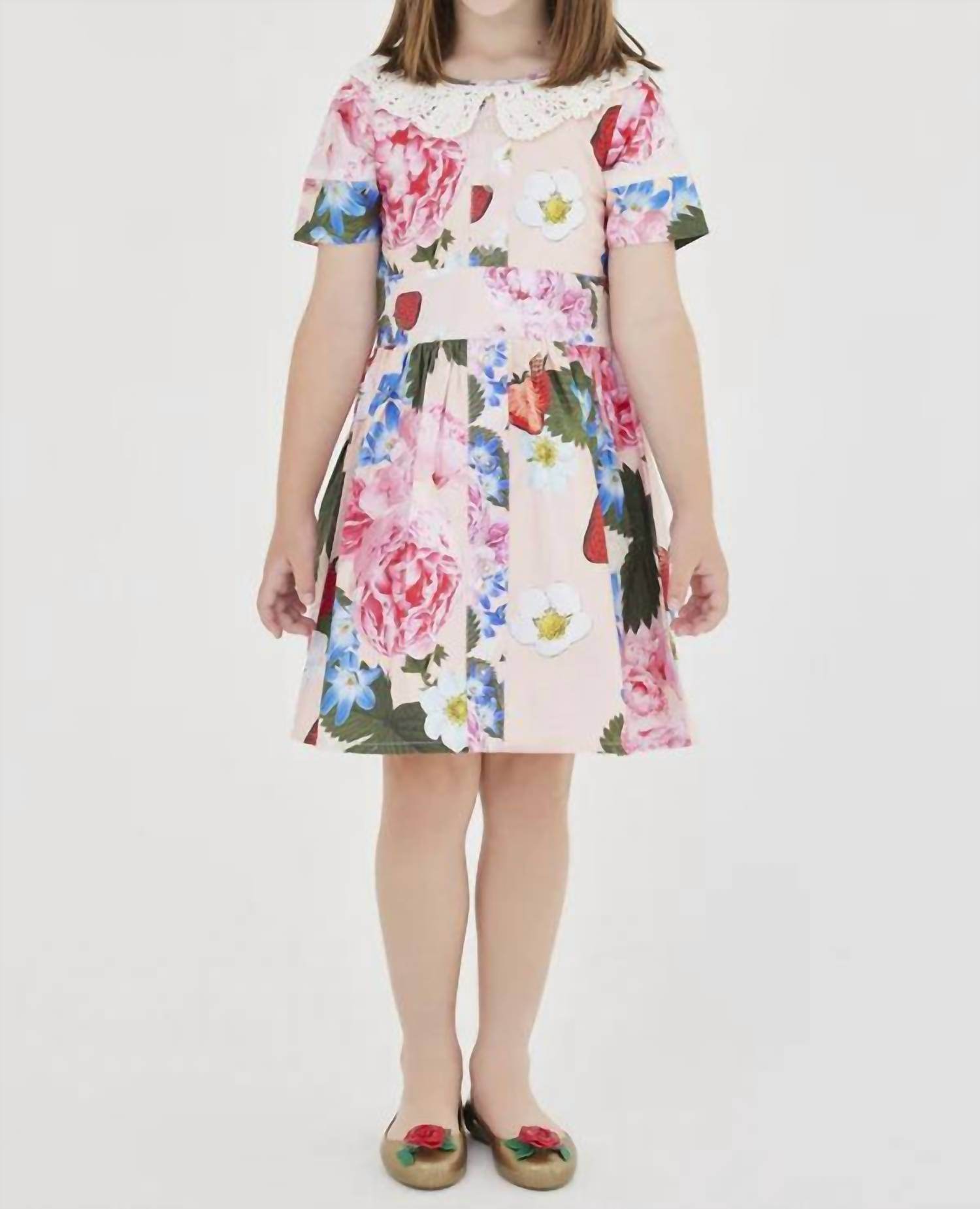 Sasha+Z - Strawberry & Peonies Printed Dress - Rack Hunt -