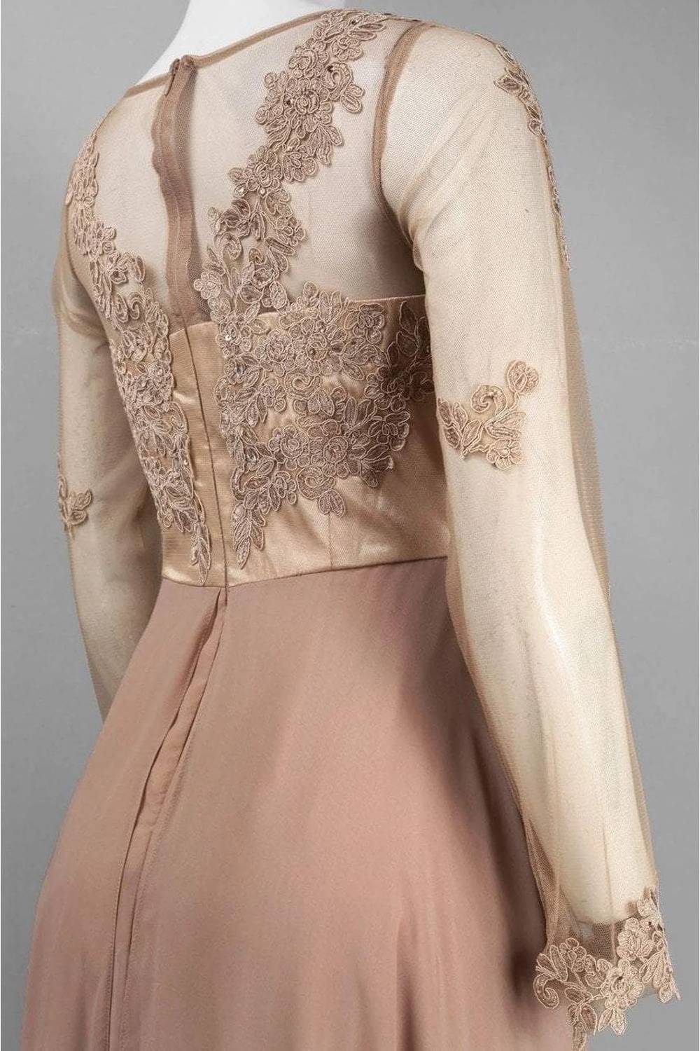 Illusion Long Sleeve Layered Chiffon Dress