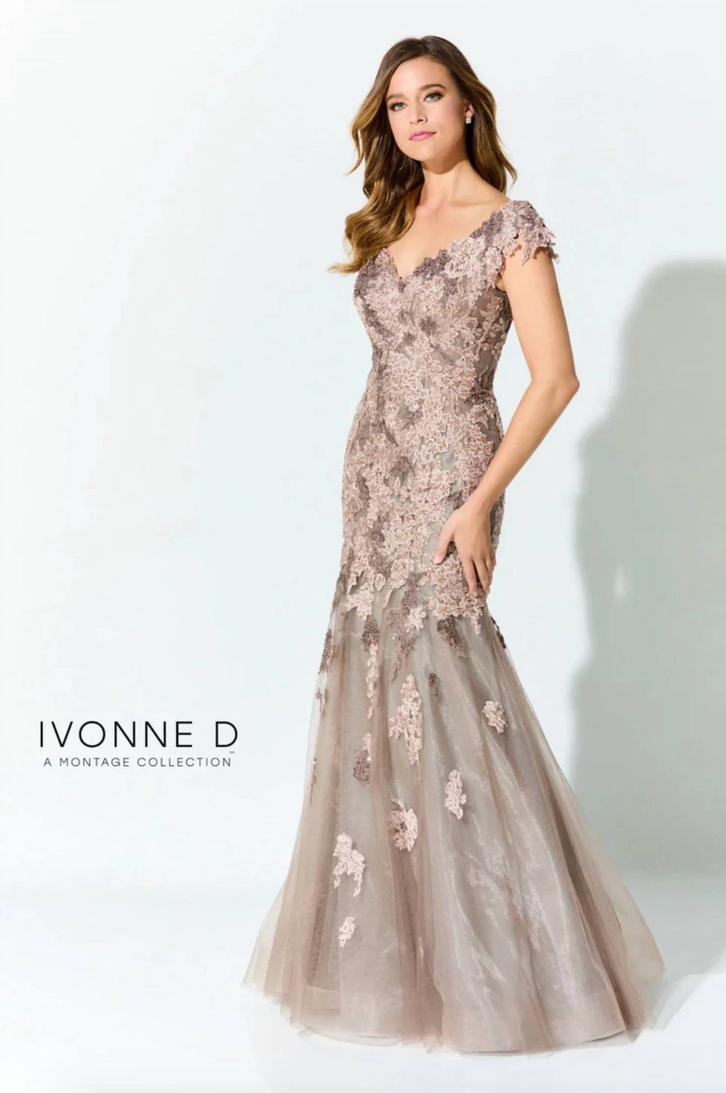 Lace Embroidered Dress