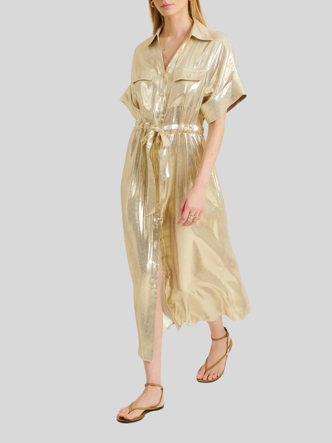 Perla Metallic Silk-blend Midi Dress
