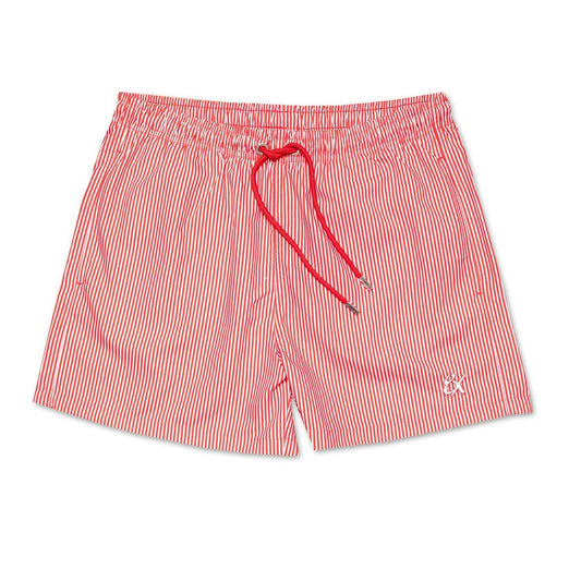 Men's Striped Slim Fit Swim Trunks