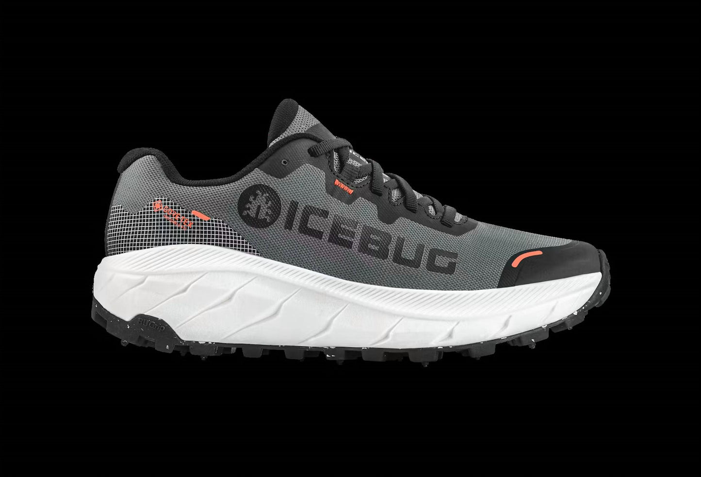 Women's Arcus 2 Bugrip Gtx Shoes