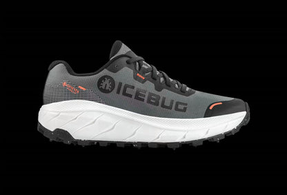 Women's Arcus 2 Bugrip Gtx Shoes