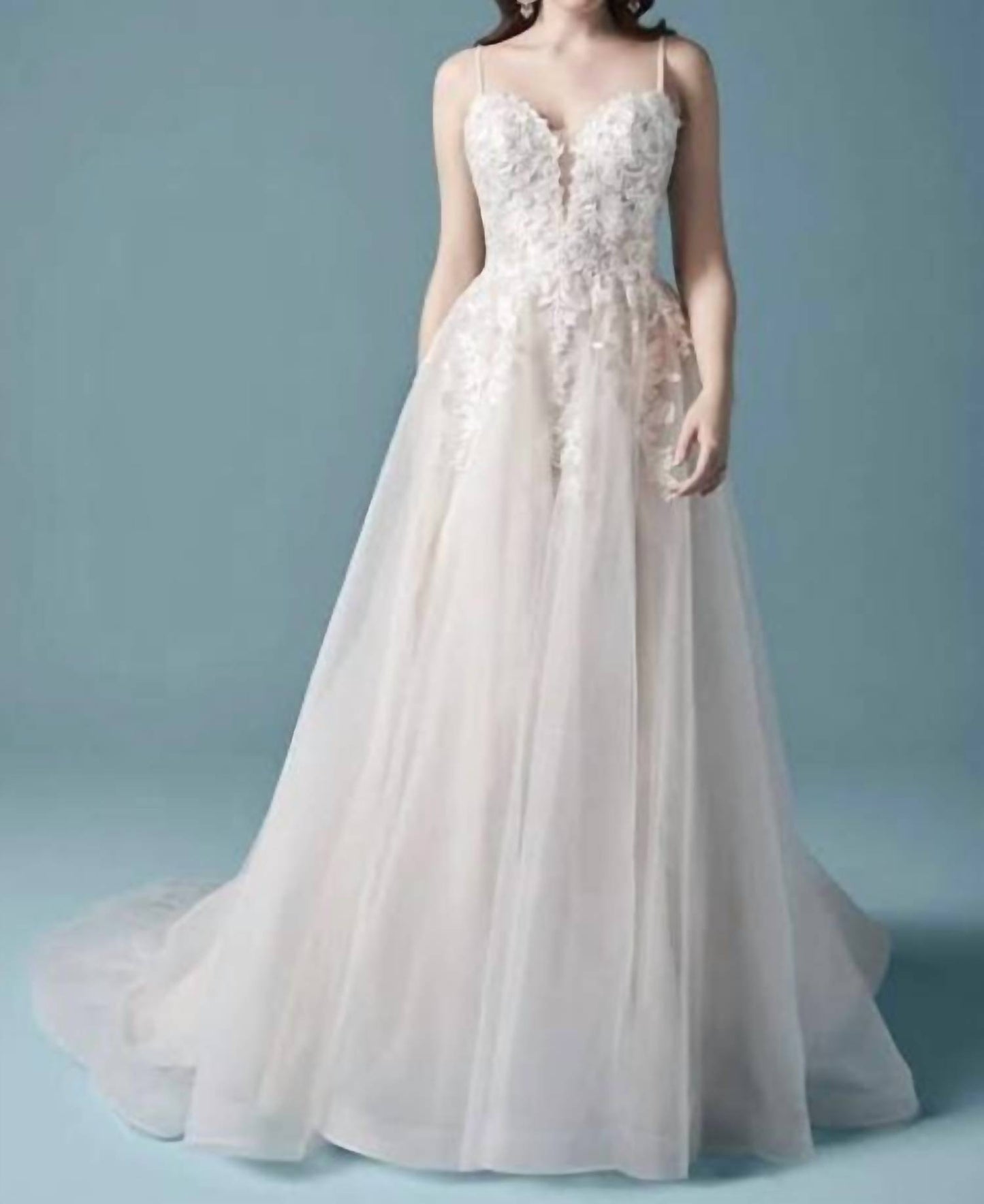 Sparkly A-line Gown