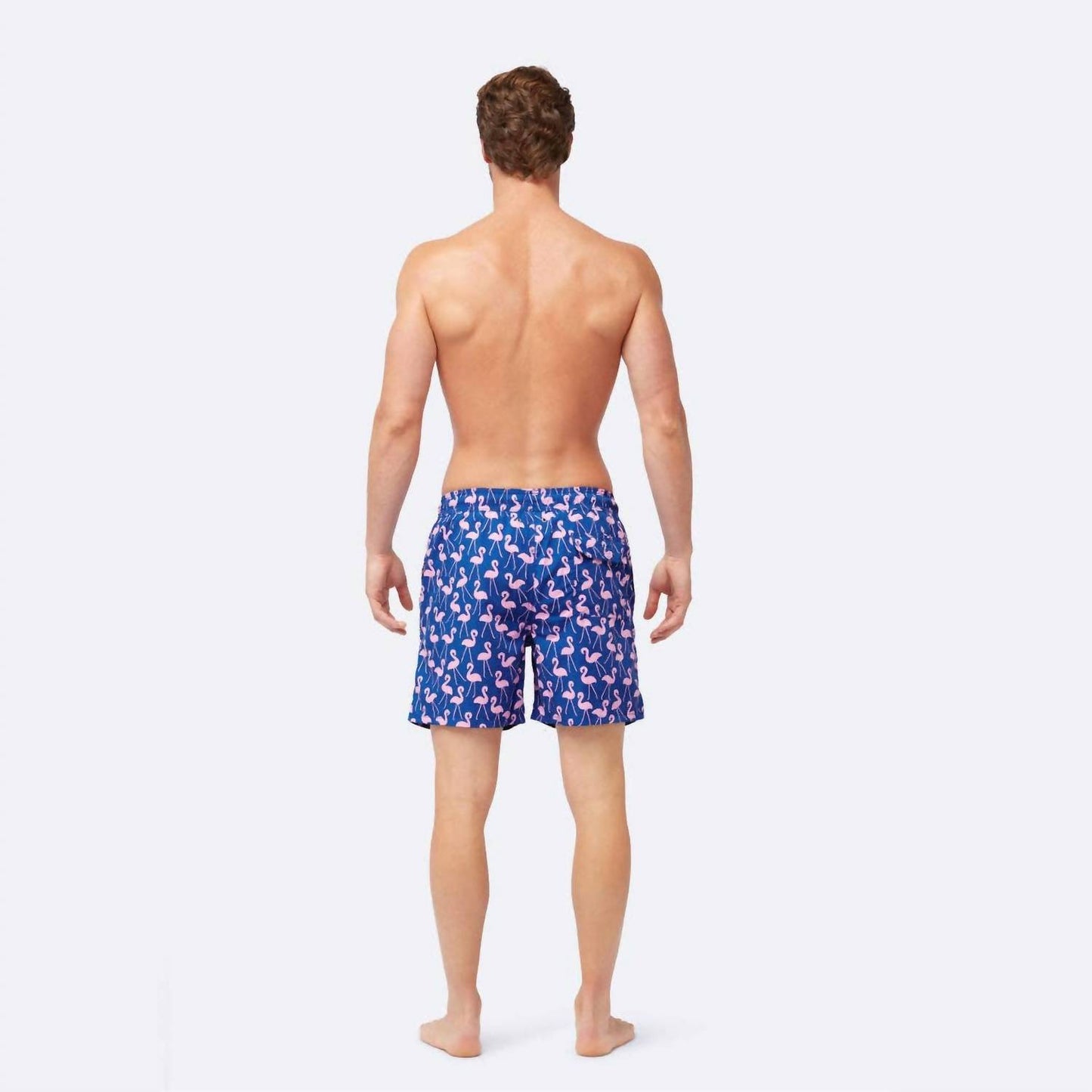 Men's Flamingo Swim Shorts