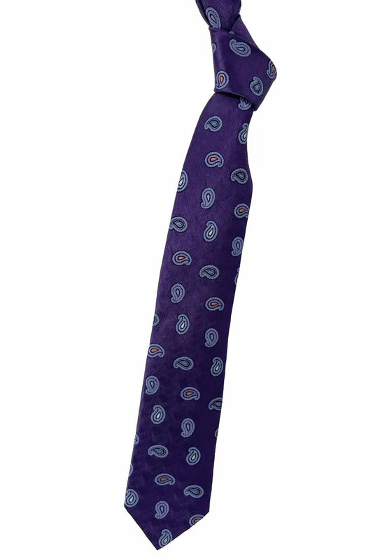 Men's Neat Paisley Woven Silk Tie