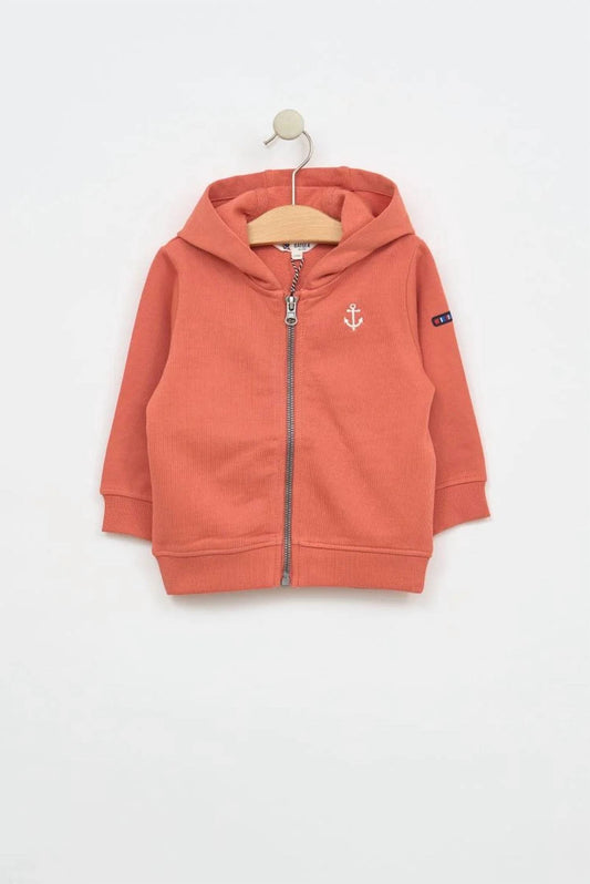 Baby's Nautical Cotton Zip Hoodie