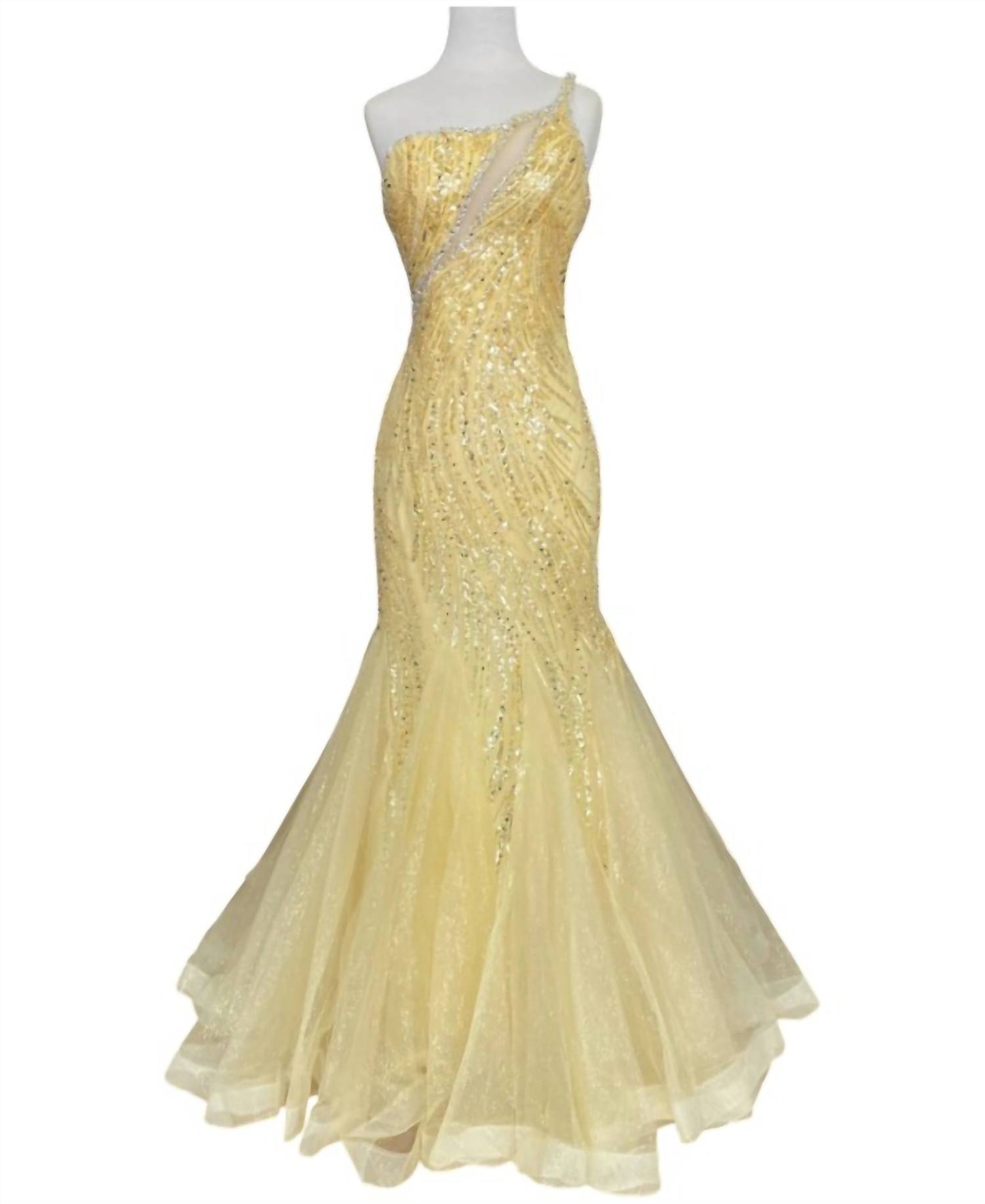 Women's Tulle Mermaid Dress With Beading