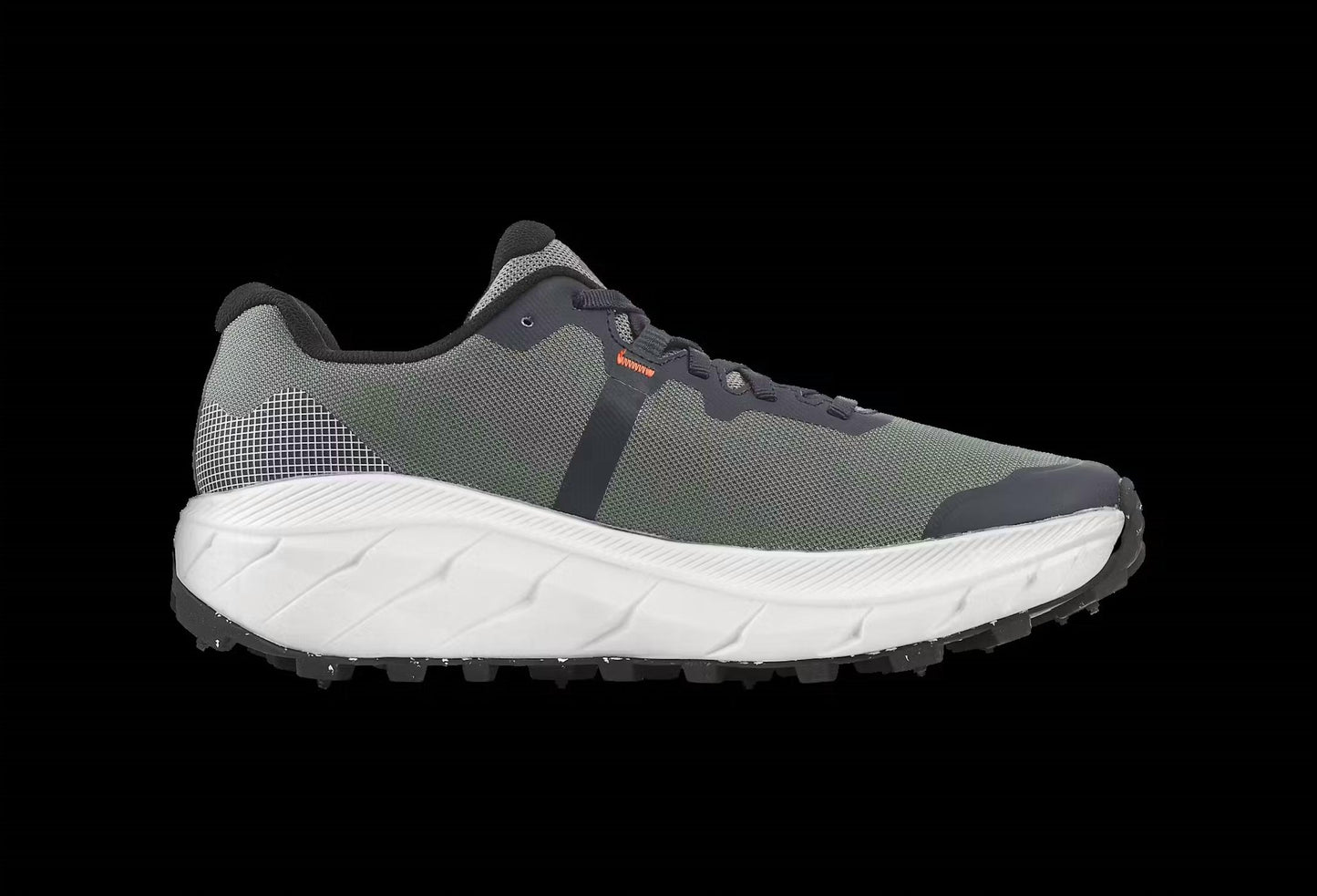 Women's Arcus 2 Bugrip Gtx Shoes