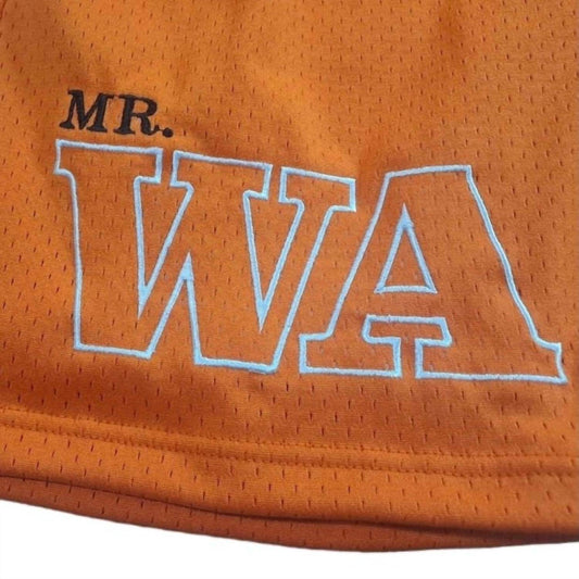 Mr. Wave - Men's Wave Mesh Shorts - Rack Hunt -