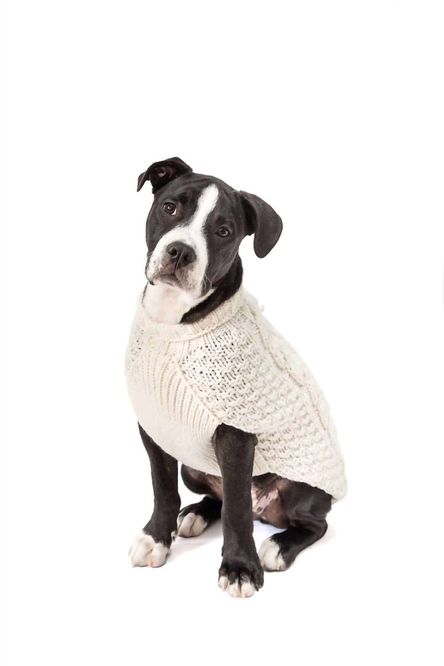 Chilly Dogs - Cable Knit Dog Sweater - Rack Hunt