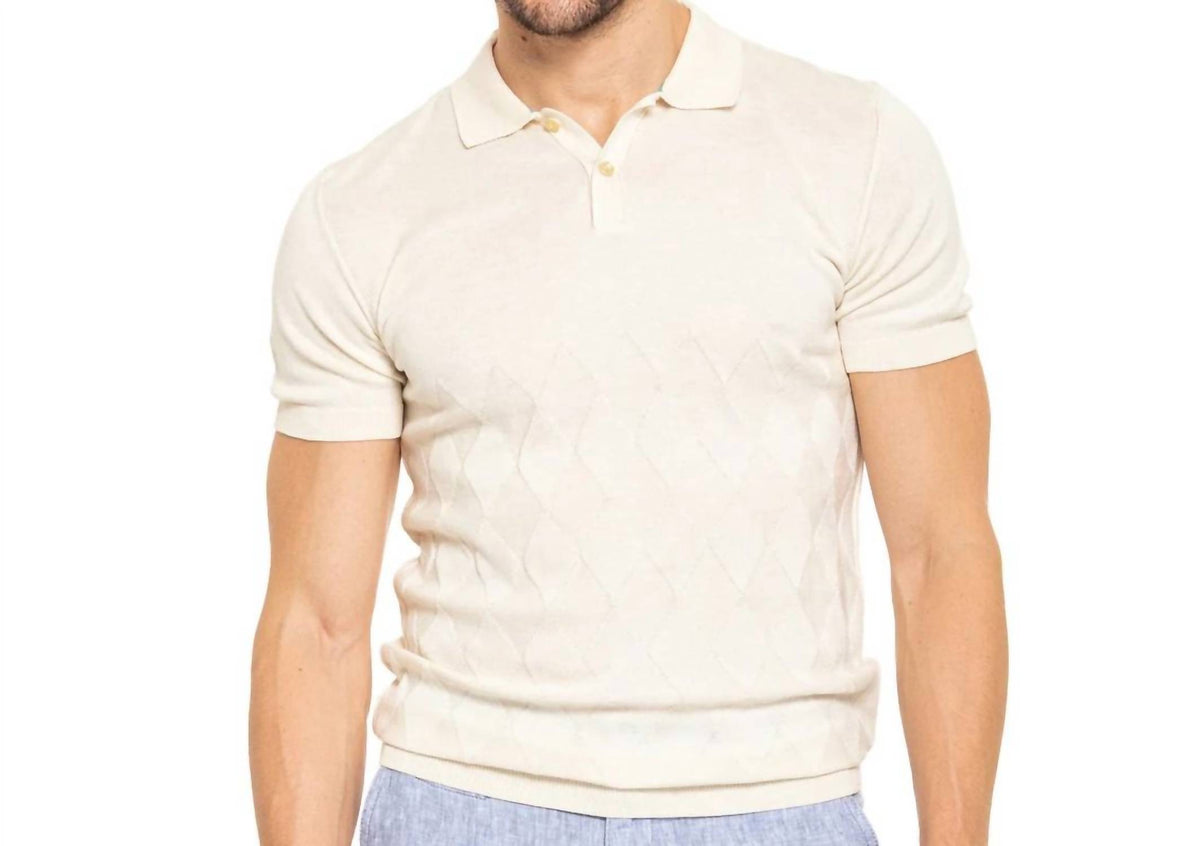 Argle Knit Polo