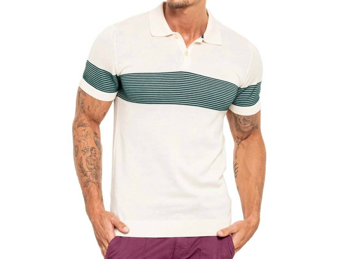 Striped Chest Knit Polo