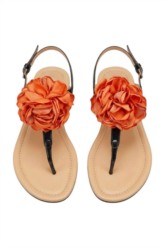 Women's Stunning Sandal