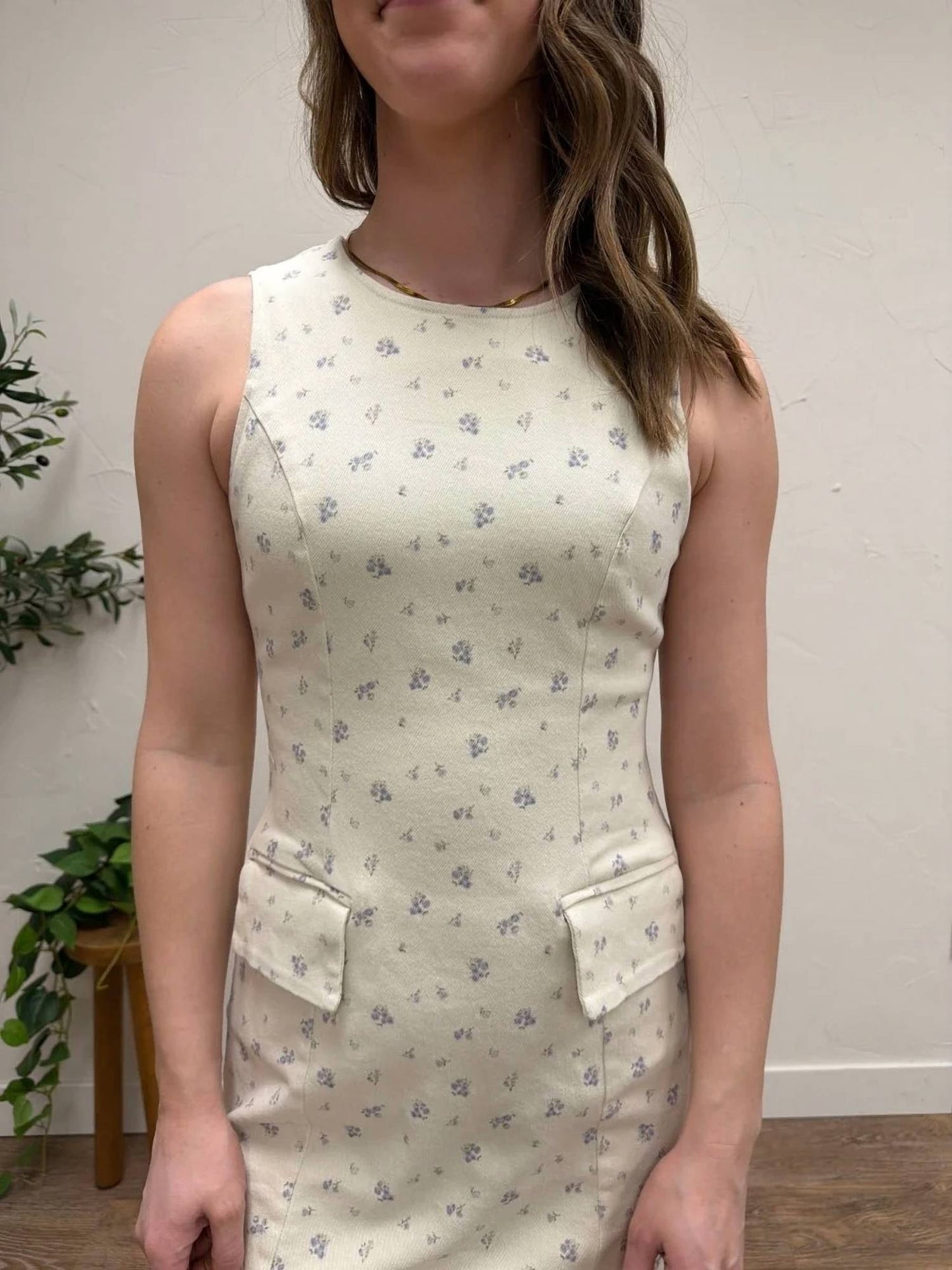 Boat Neck Sleeveless Ditsy Print Twill Mini Dress