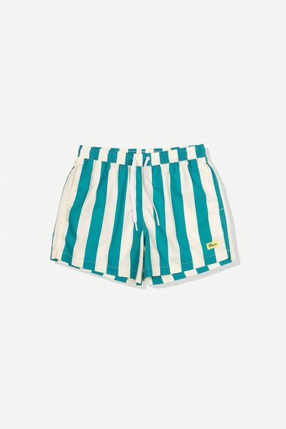 Travel Swim Shorts