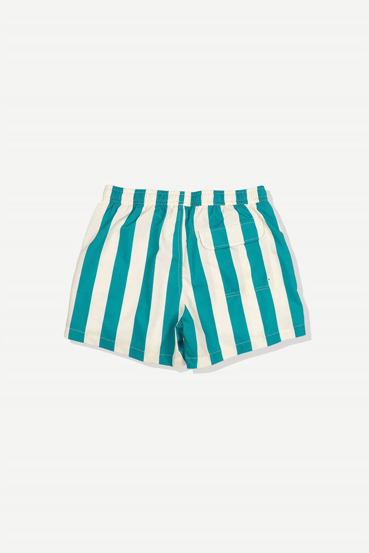 Travel Swim Shorts