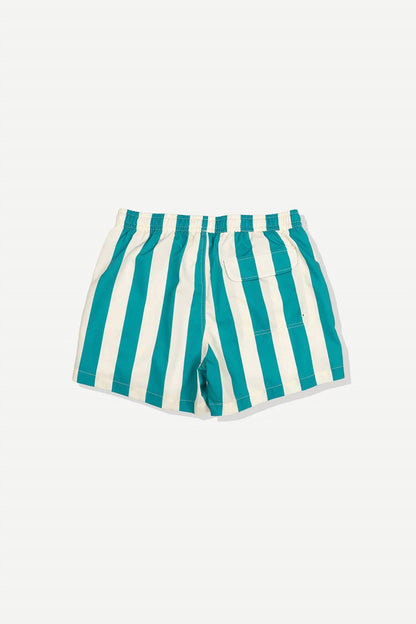 Travel Swim Shorts