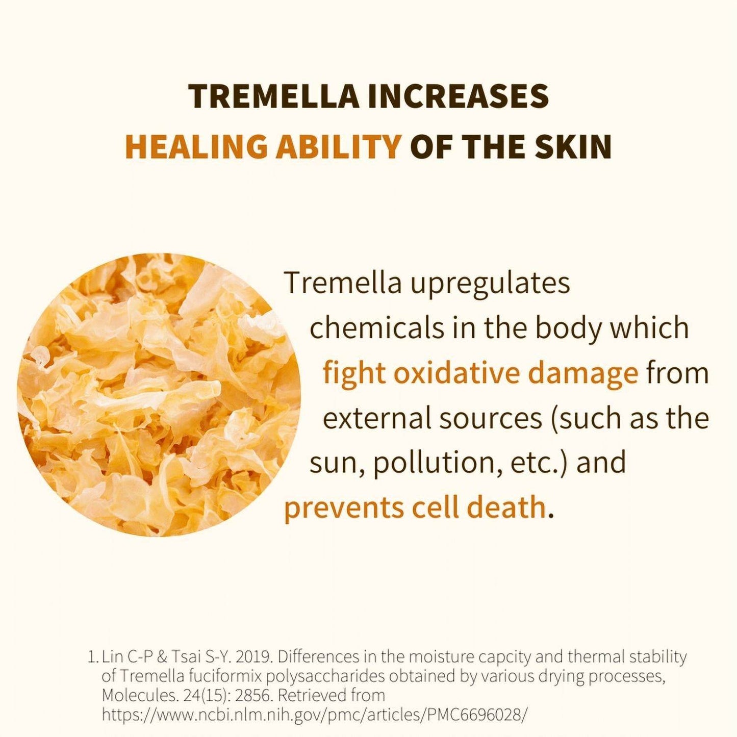 Fungi Guru Skincare - Women's Instant Radiance Organic Adaptogenic Face Scrub - Rack Hunt -