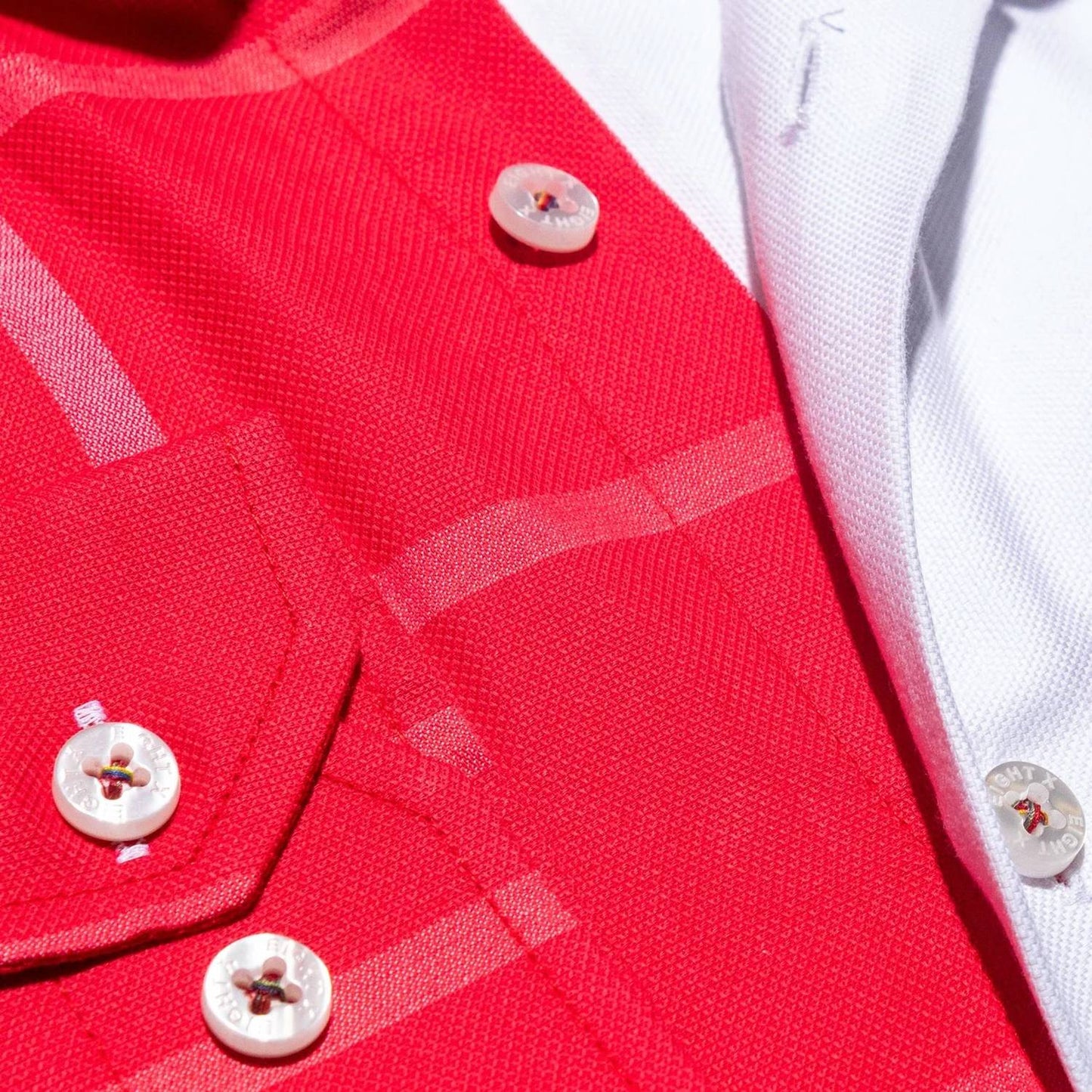 Part Plaid Frog Oxford Button Down Shirt