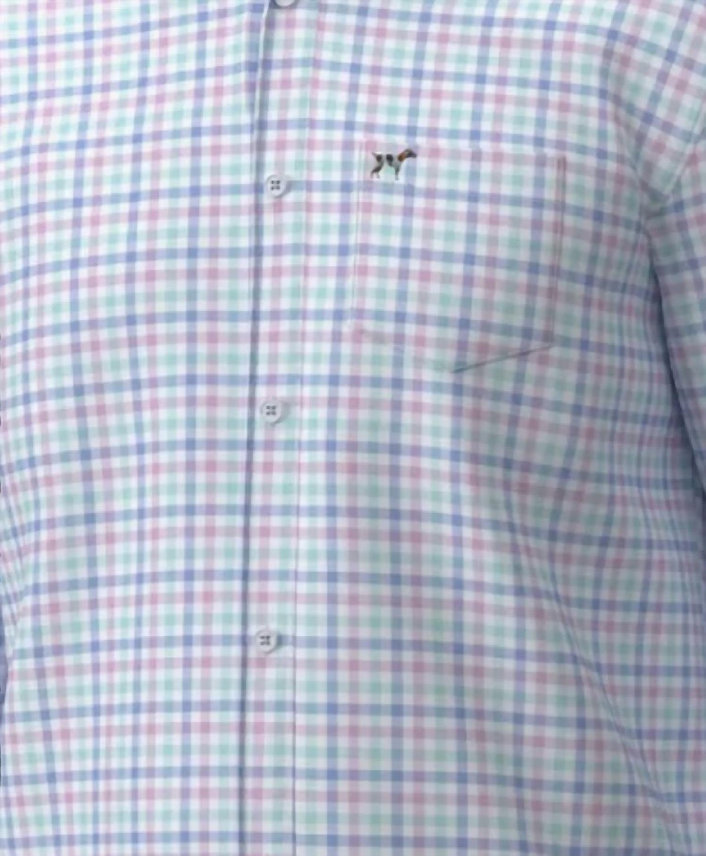 Boy's Hadley Luxe Button Down Shirt