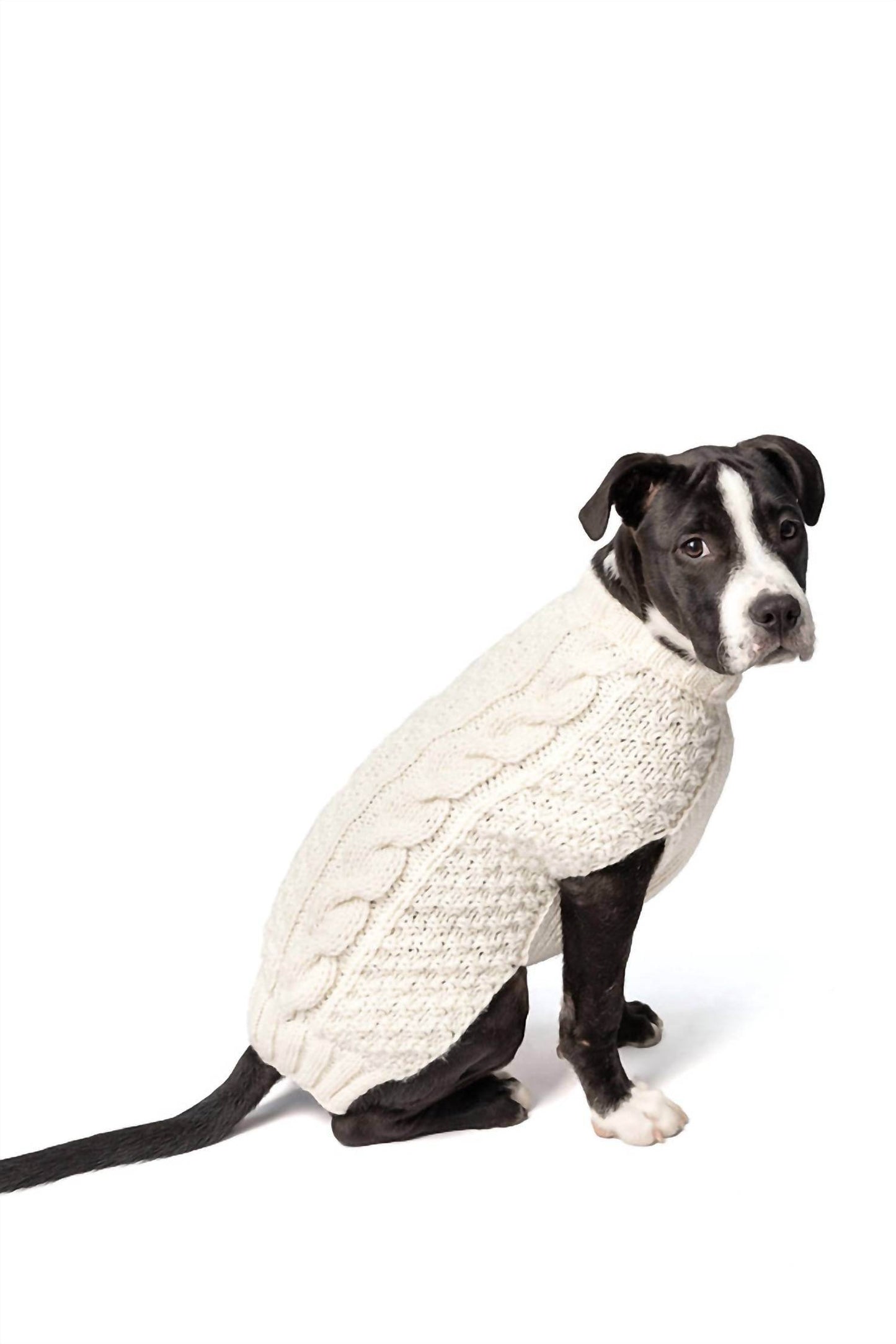 Chilly Dogs - Cable Knit Dog Sweater - Rack Hunt