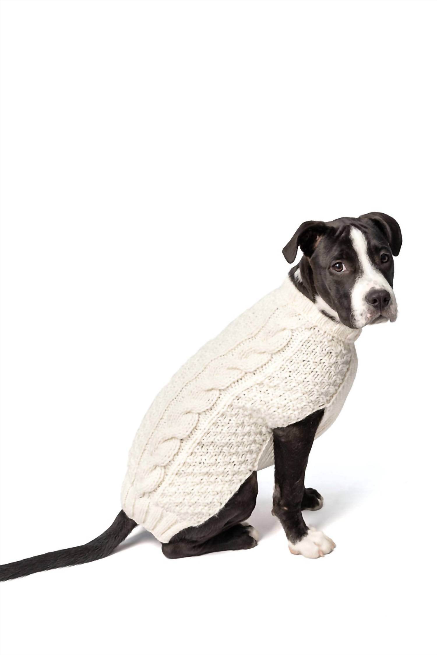 Chilly Dogs - Cable Knit Dog Sweater - Rack Hunt