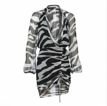 Vera Silk Zebra Print Mini Dress