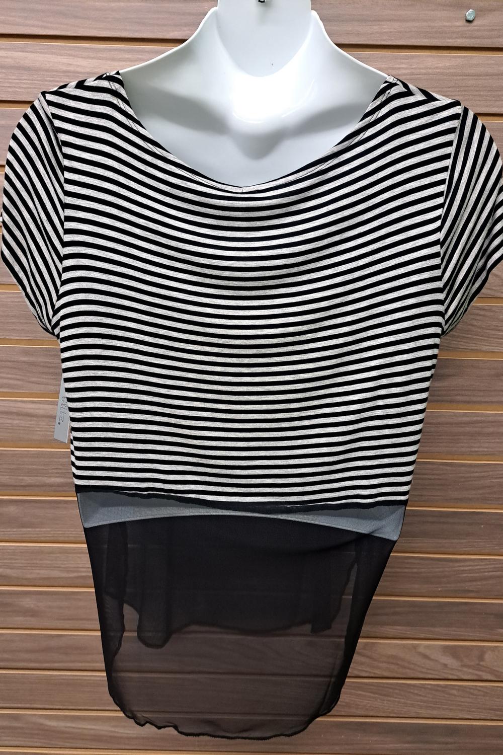 Women's Mesh Ss Top