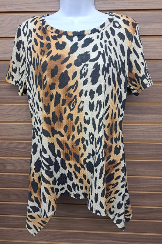 Women's Leopard Short Sleeve Shark Bite Hem
