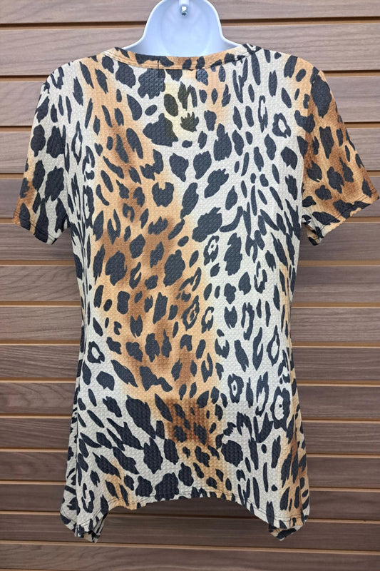 Women's Leopard Short Sleeve Shark Bite Hem