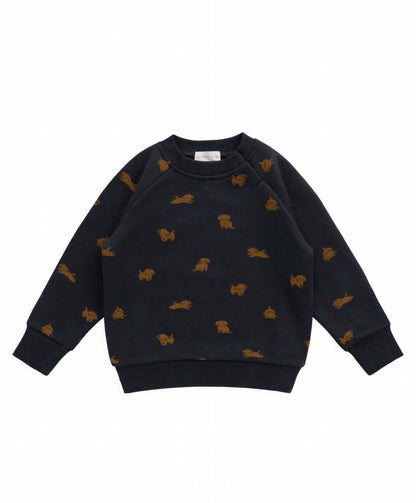 Jamie Kay Boys Organic Cotton Flynn Sweatshirt in Playful Milo Captain