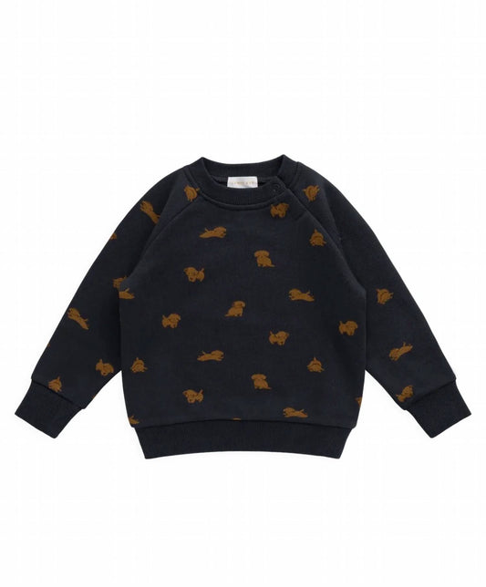 Jamie Kay Boys Organic Cotton Flynn Sweatshirt in Playful Milo Captain