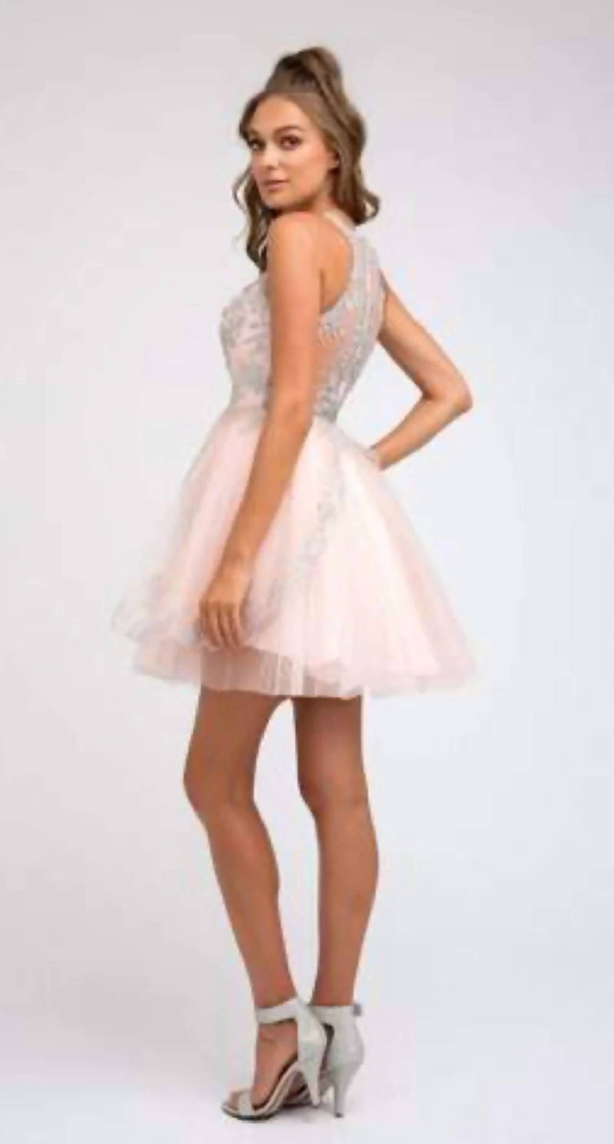 Embroidered Bodice And Tiered Skirt Short Dress