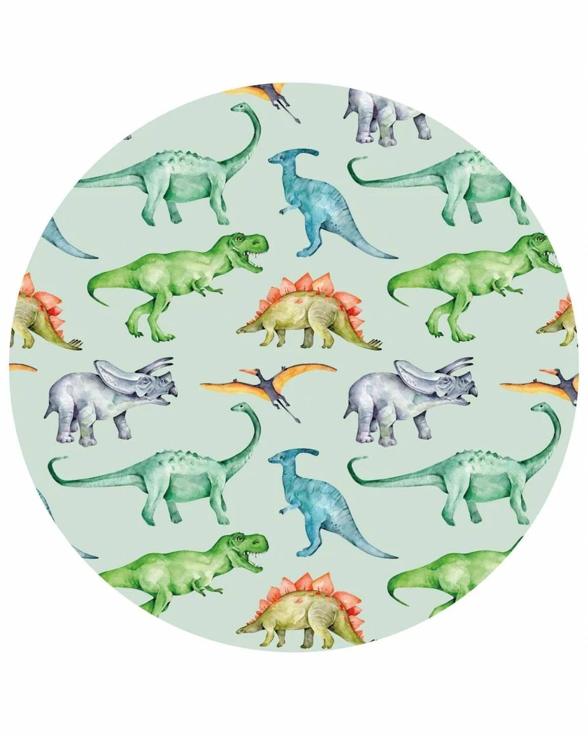 Boy's Landon Dinosaurs Poppy Convertible Romper