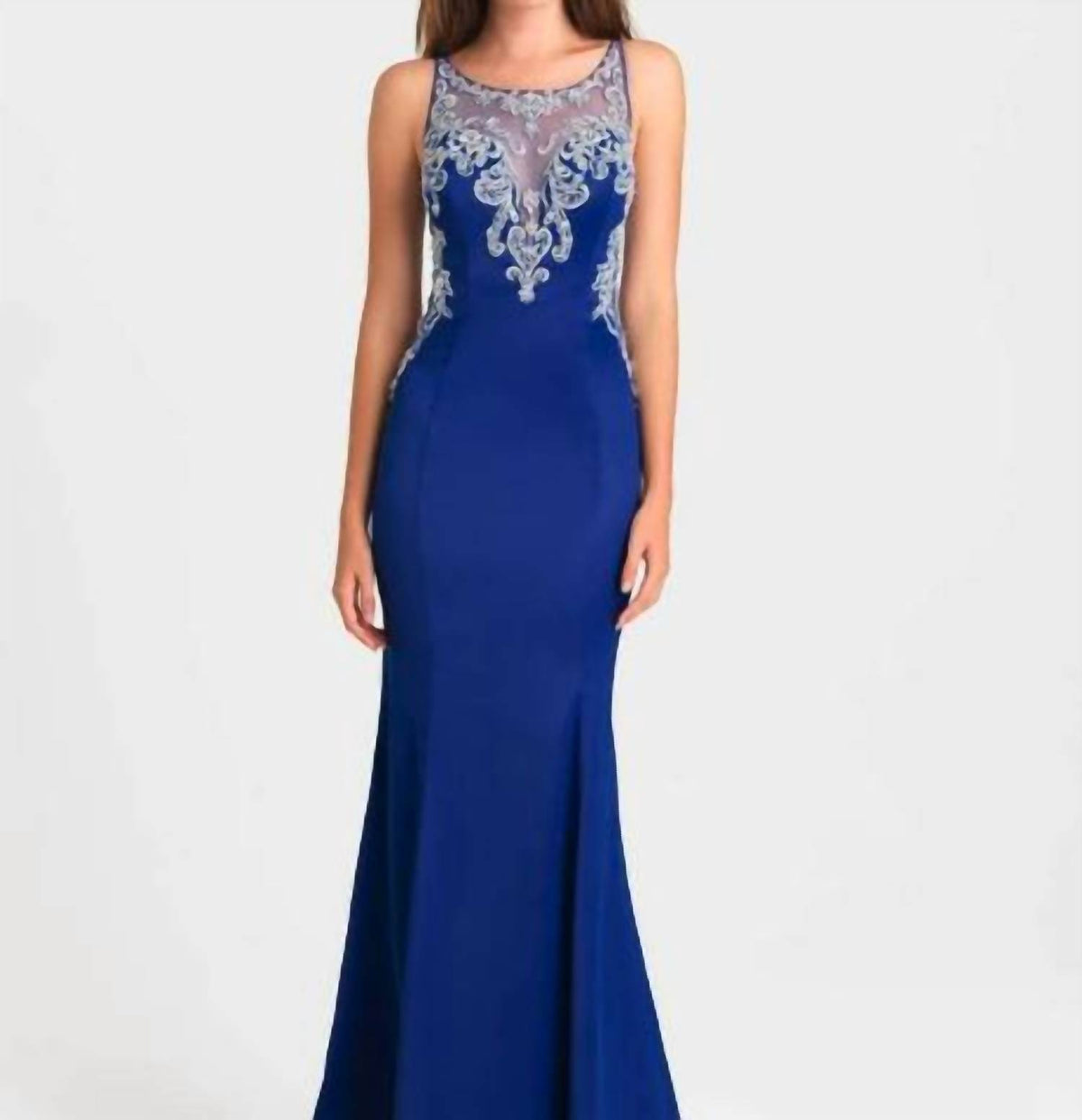 Illusion Embroidered Evening Maxi Dress