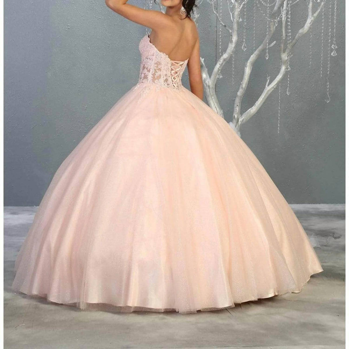 Embroidered Corset Bodice Ballgown