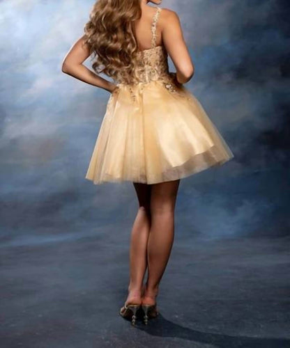 Embroidered V-neck Mini Dress