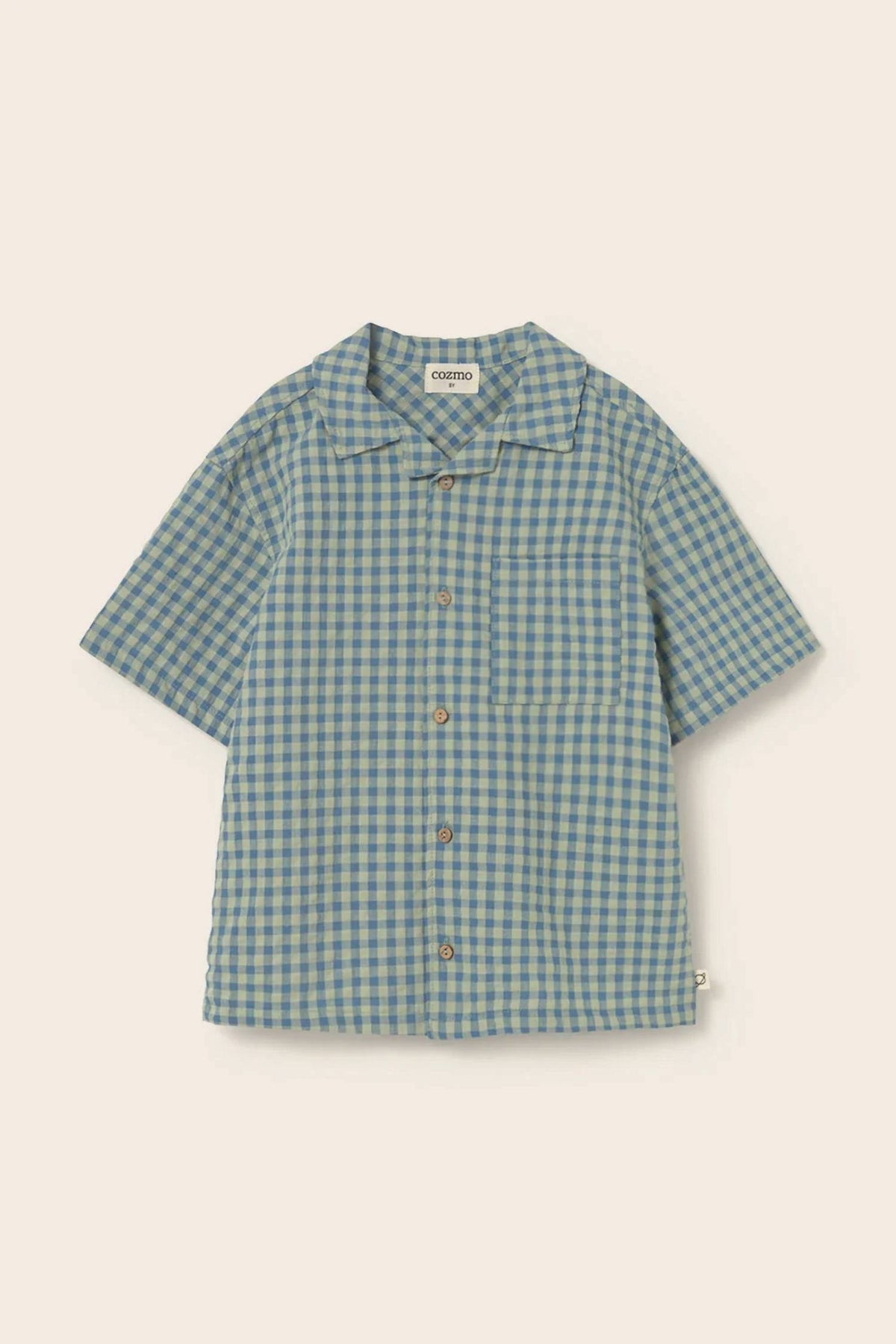 Boys Gingham Cotton Shirt