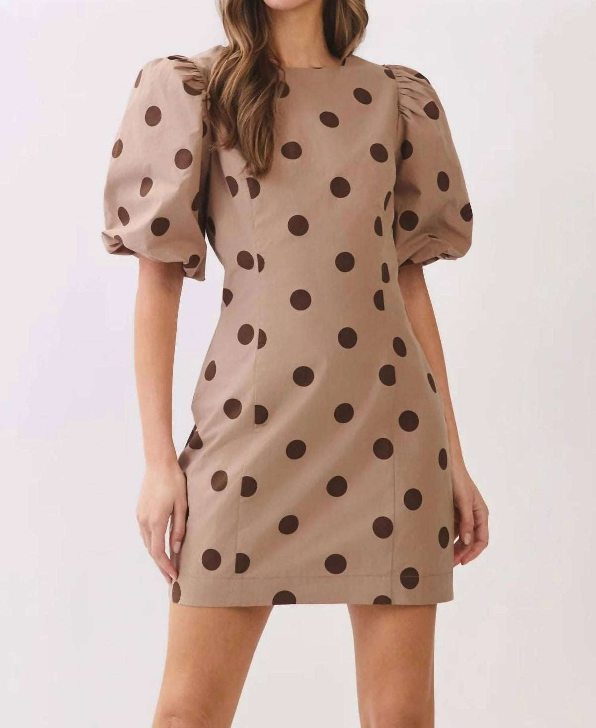 Alicia Mini Dress