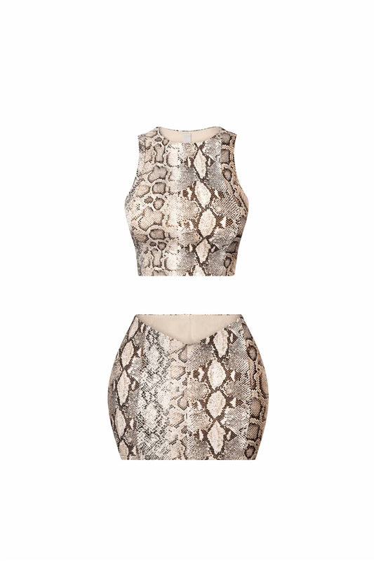 Snake Print Crop Top & Low Rise Mini Skirt