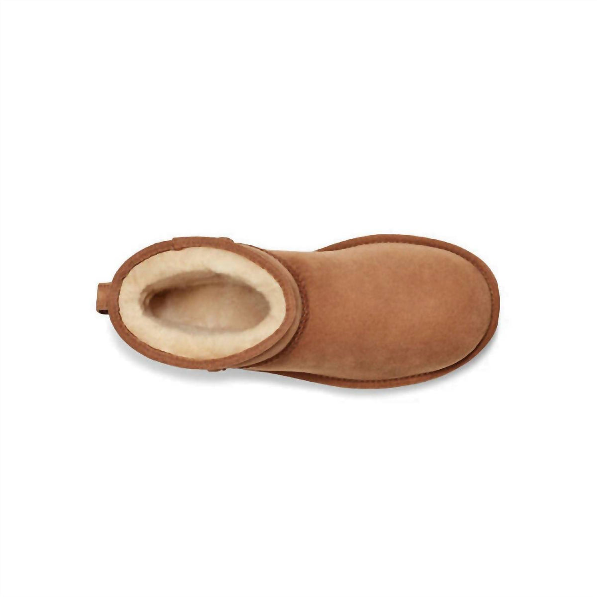 Women's Classic Mini Ii Suede Boot