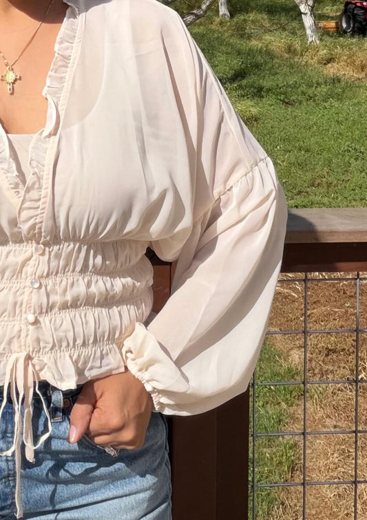 Sheer Blouse